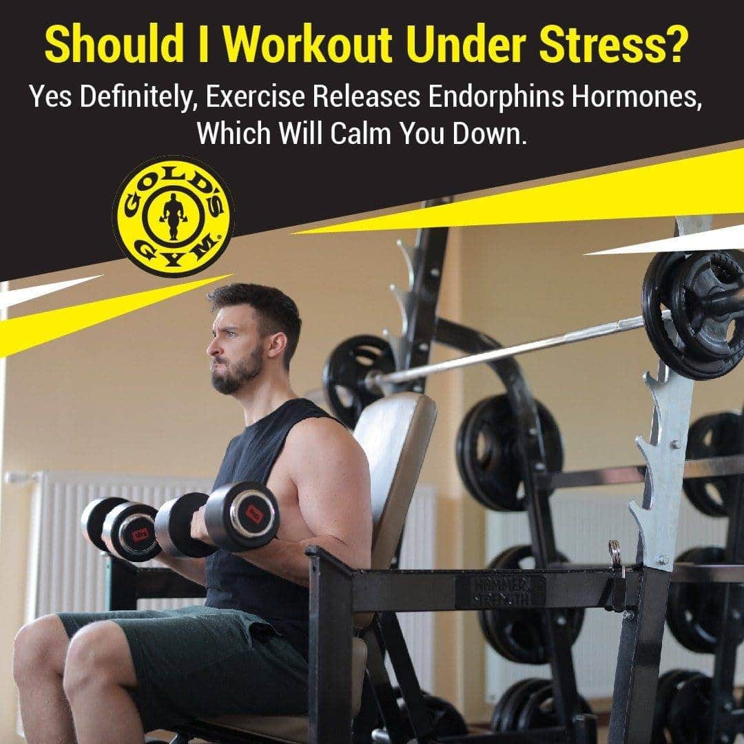 Wondering whether you... Gold's Gym Belgaum Tilakwadi