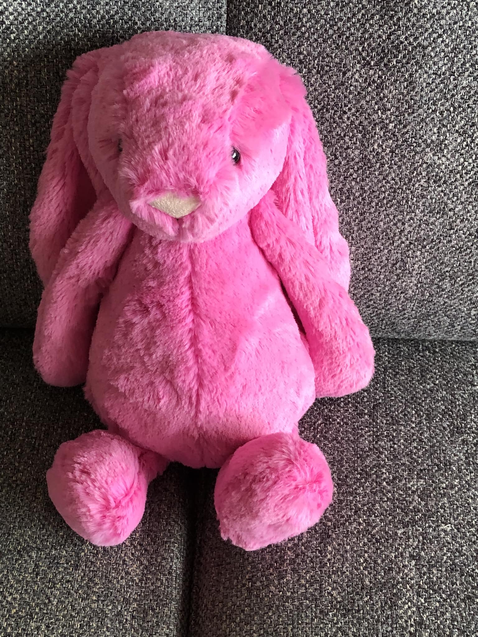 New! My name is Puddlesea Bunny 🐰💙#jellycat