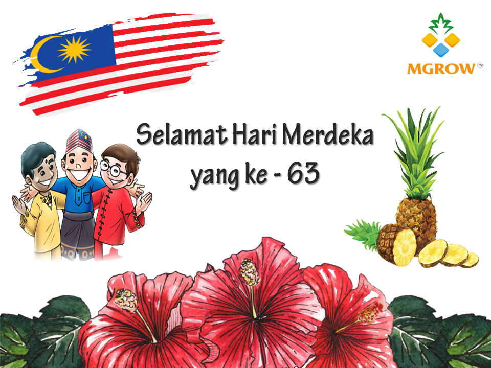 Selamat Menyambut Hari... - MGROW Premium MD2 Pineapples | Facebook