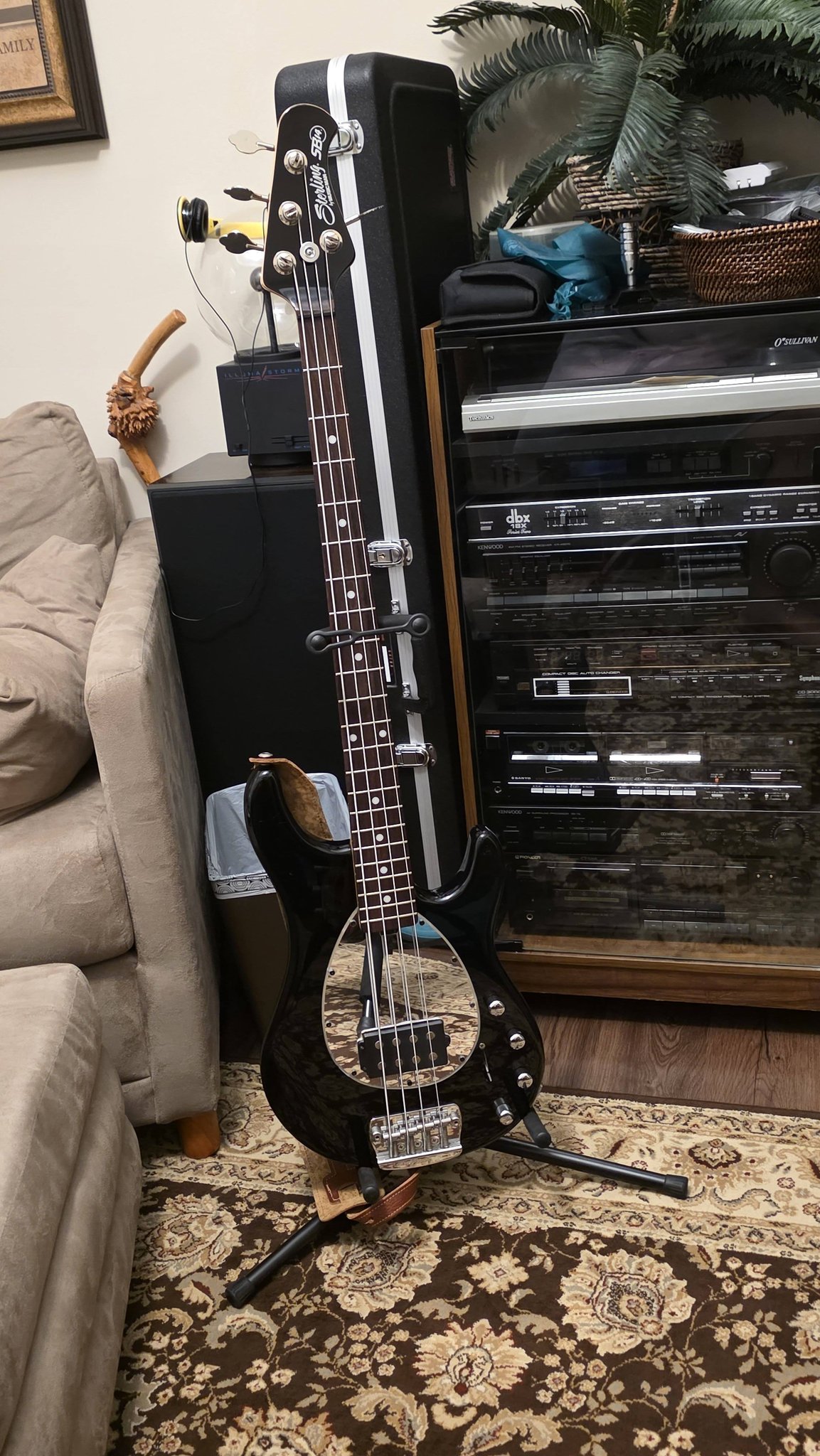 Adding a Sterling SB14 to my bass collection