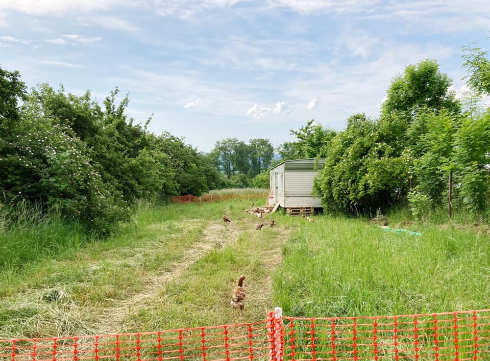 Farma Napipi | Cerhovice