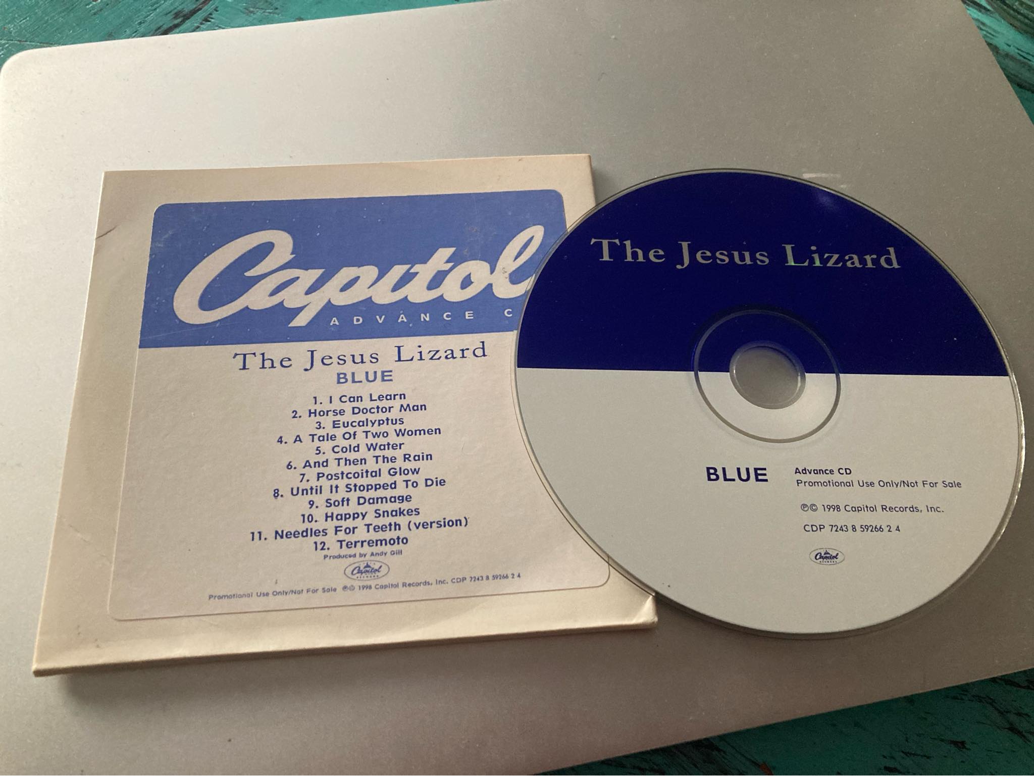 SONBB 8 Blue was the last studio album released by The Jesus 
