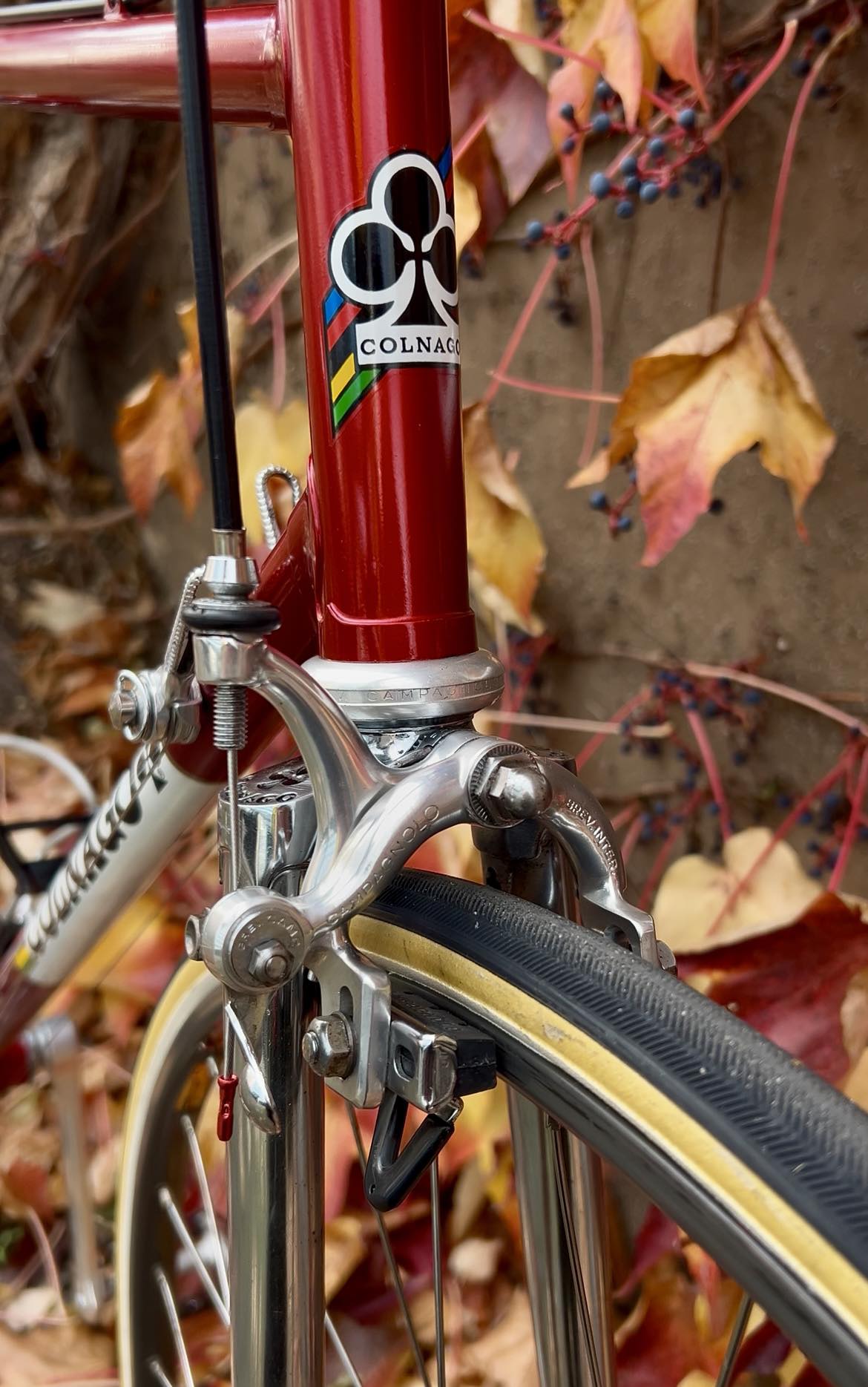 Two Italian legends. One perfect combination. 😍 Selle Italia