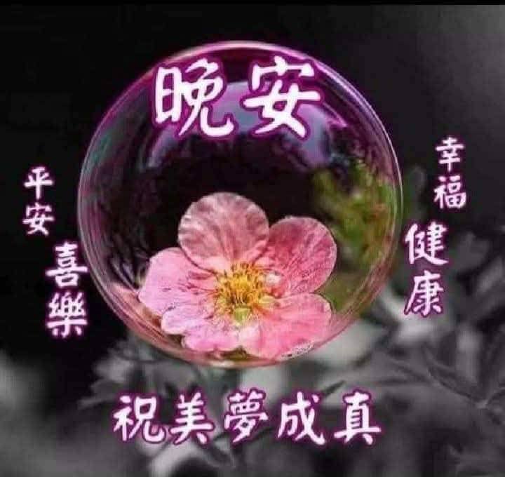 嗨～你好！早安 午安 晚安美圖分享 | 🌹嗨~您好！#週四晚安舒心🌹 | Facebook