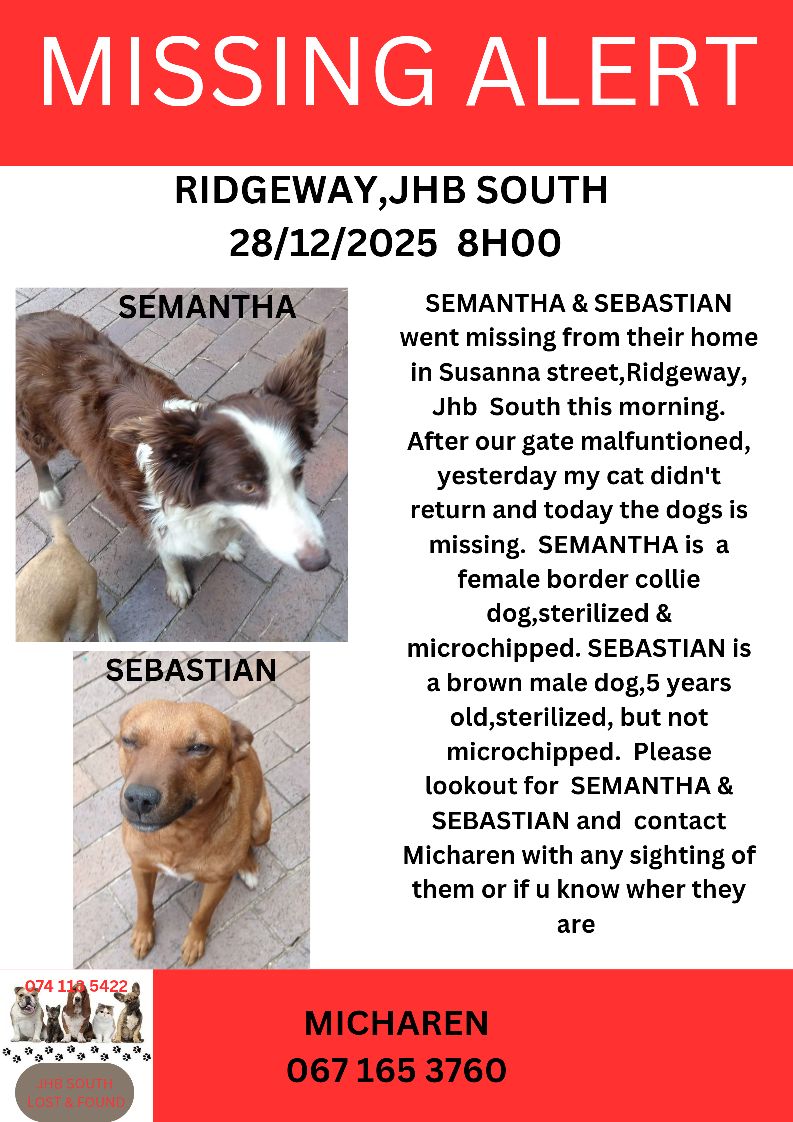 Pets Lost and Found South Africa | Facebook