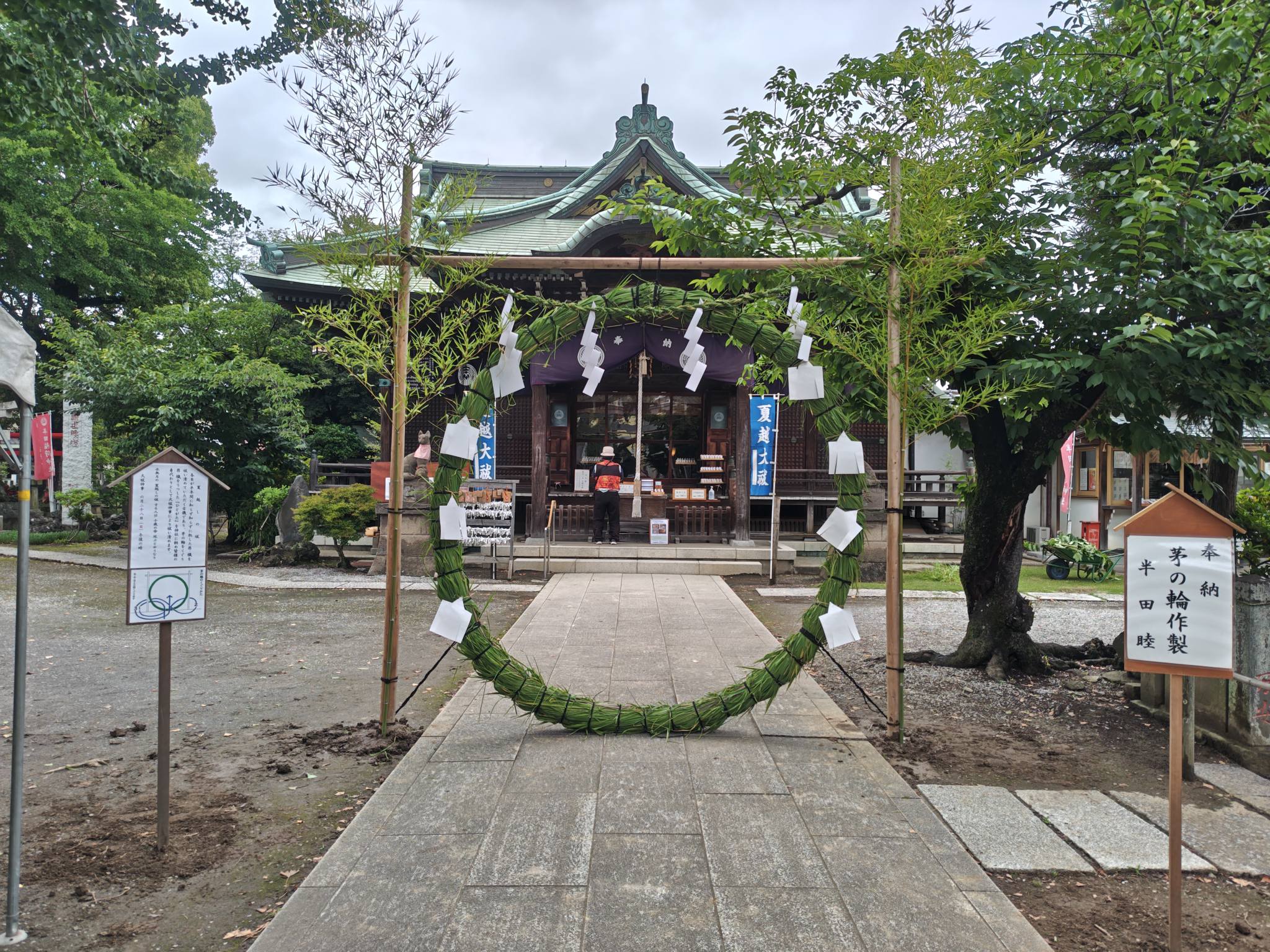 今年も昨日土曜日に水元公園にて真菰刈りを行い、本日半田稲荷神社で