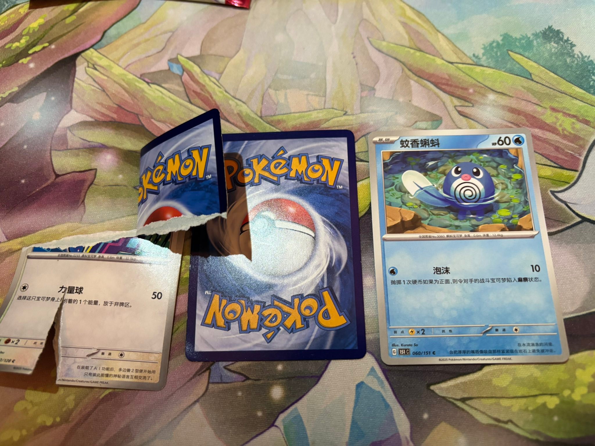 japanese pokemon back of card NMCharizard 006 1996 Base Set Holo Old  japanmaster Why are the back of