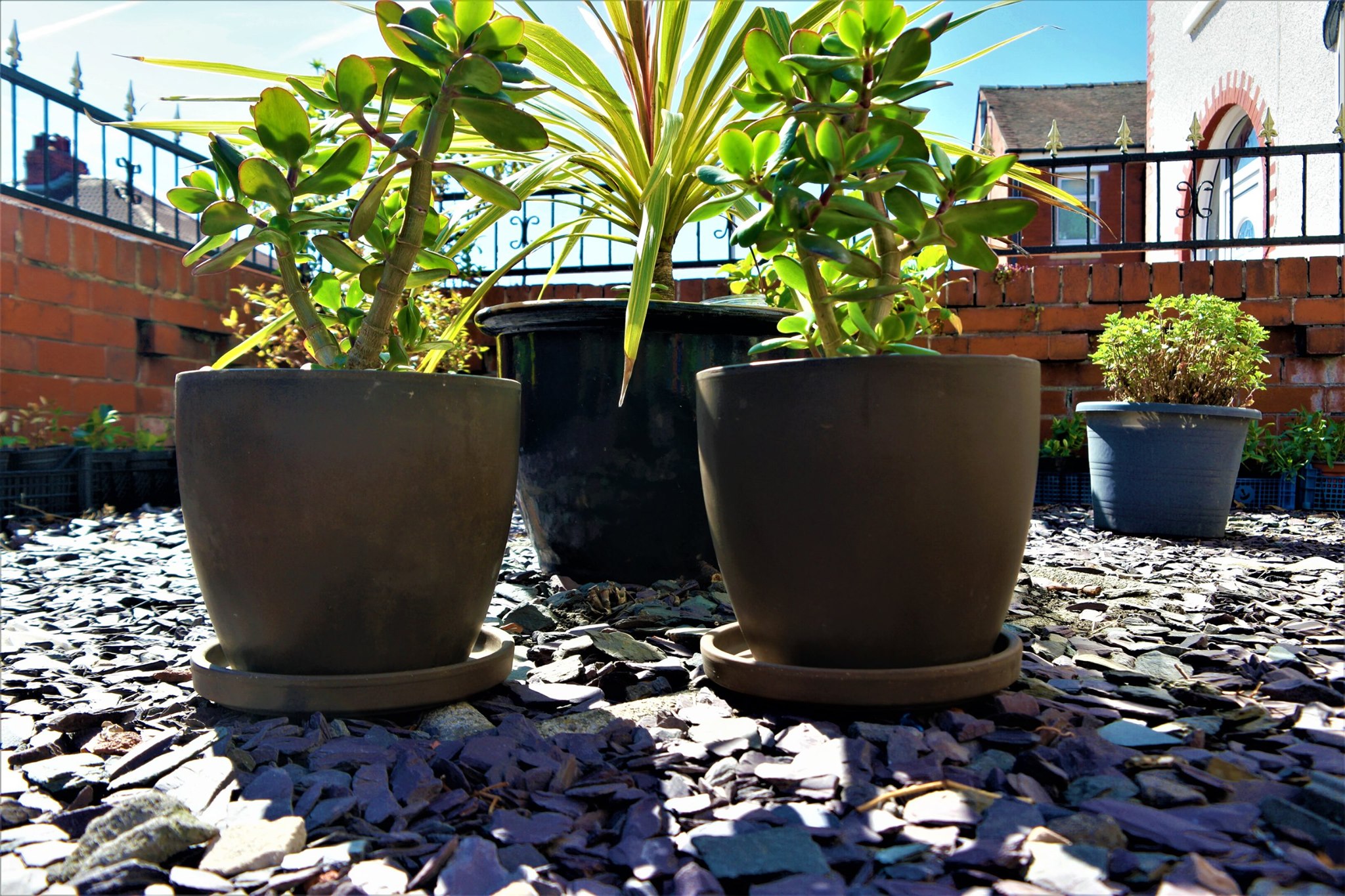 Plants R US | Blackpool