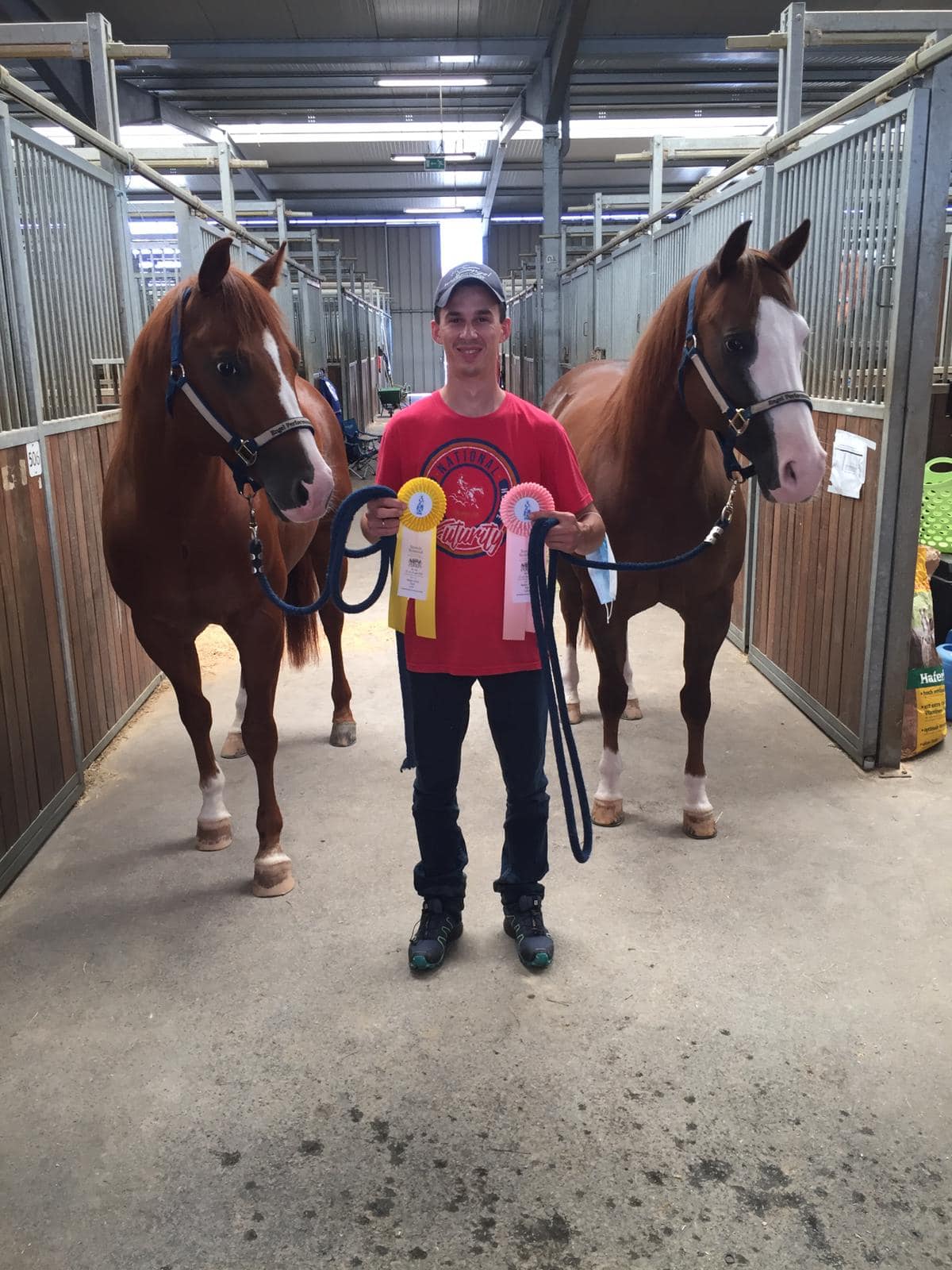 2BE Ranch - Darf ich vorstellen: - Novice Horse Open Reserve Champion ...