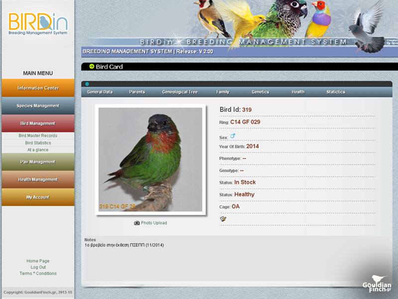 BIRDin