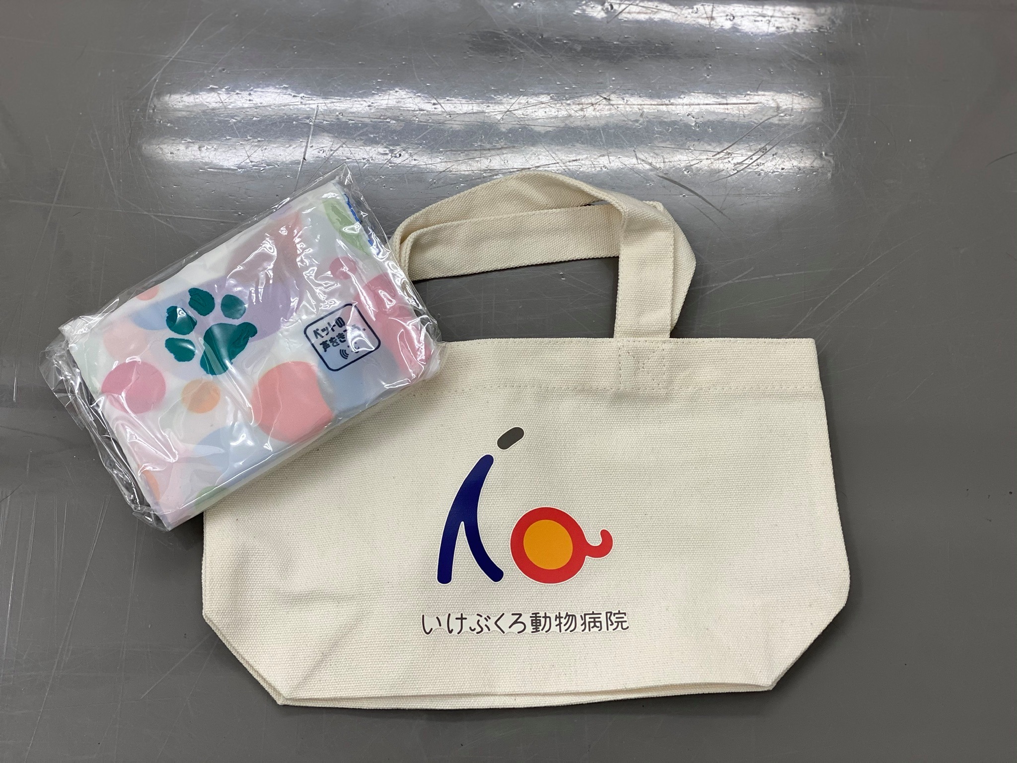 活動歴および当時の関連ビジュアル記録