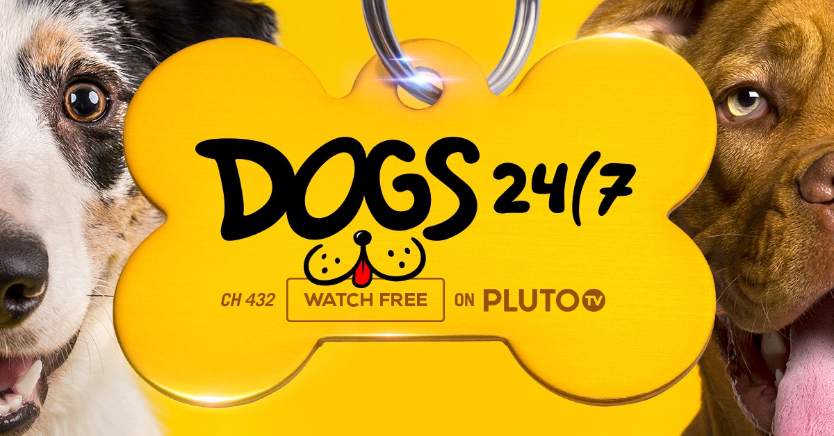 Pluto - ‘Ruff’ week? Cheer up with Dogs 24/7 (CH 432) streaming now on ...