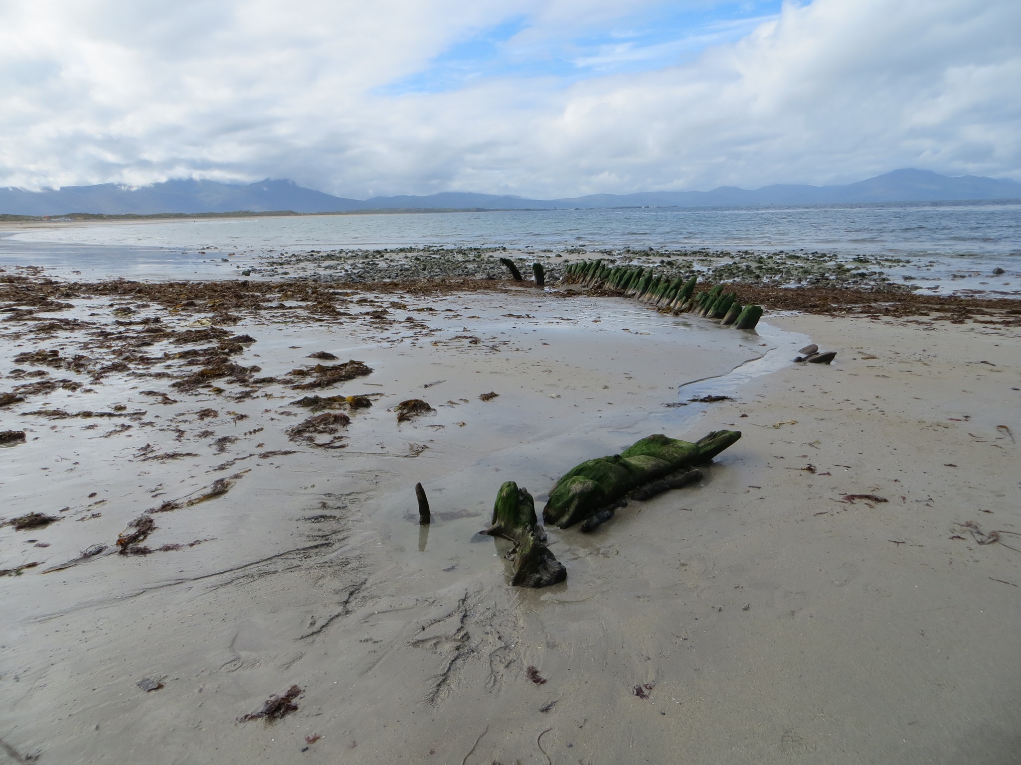 Kerry Geo - Apparently, there are 181 shipwrecks in the...