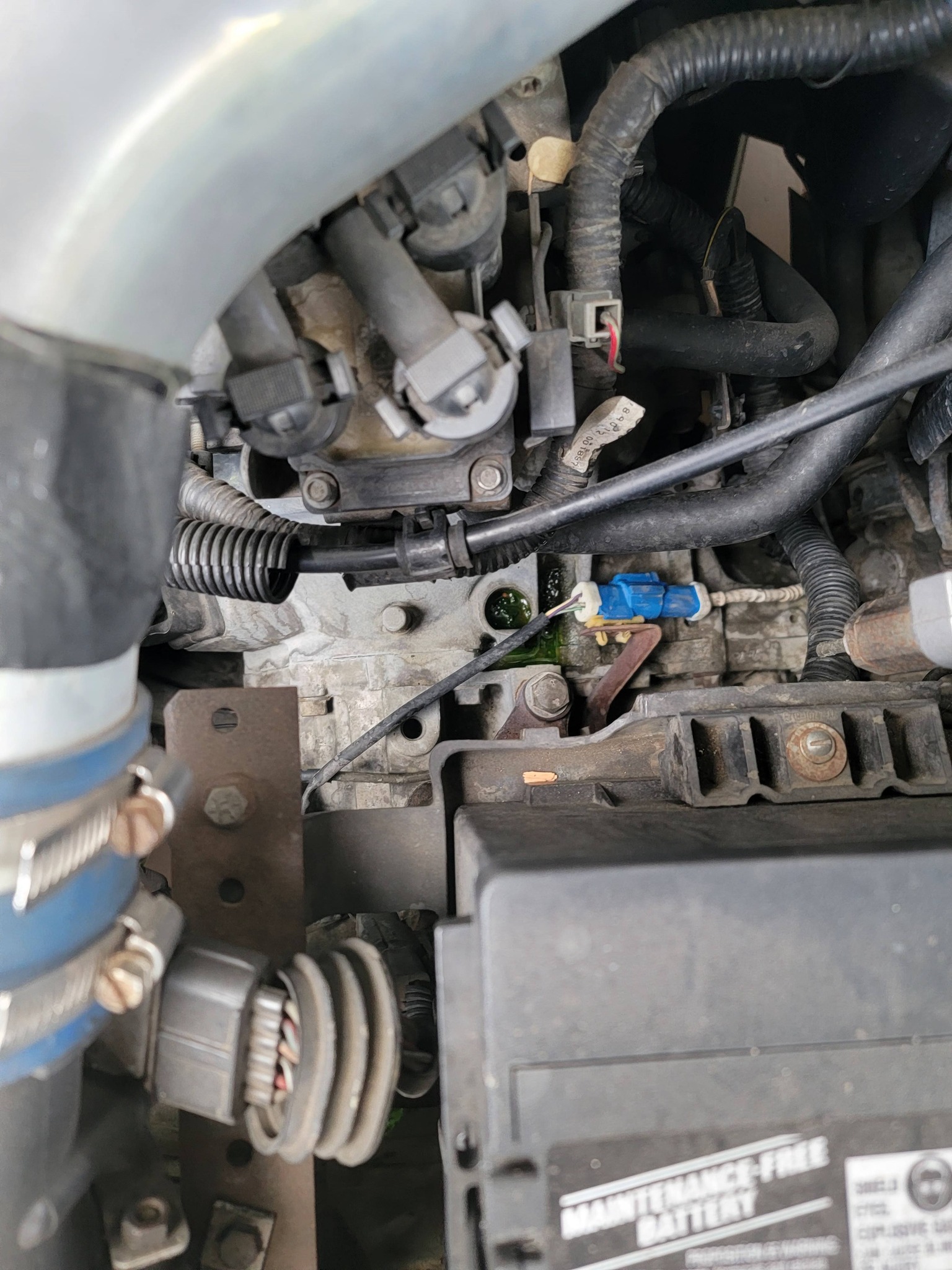 k様オーダー What is causing coolant leak in 01 engine?