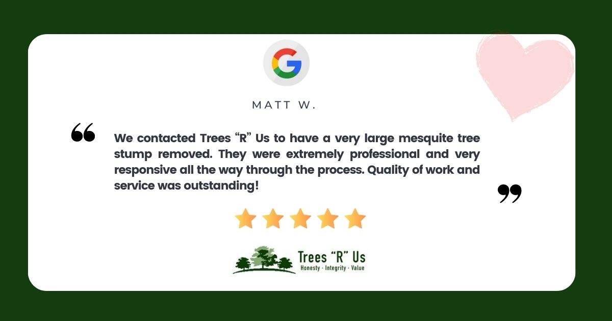 Trees 