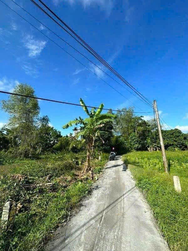 NHÀ ĐẤT CẦN THƠ (MỚI) | NỀN RẠCH SUNG - NHƠN NGHĨA - PHONG ĐIỀN | Facebook