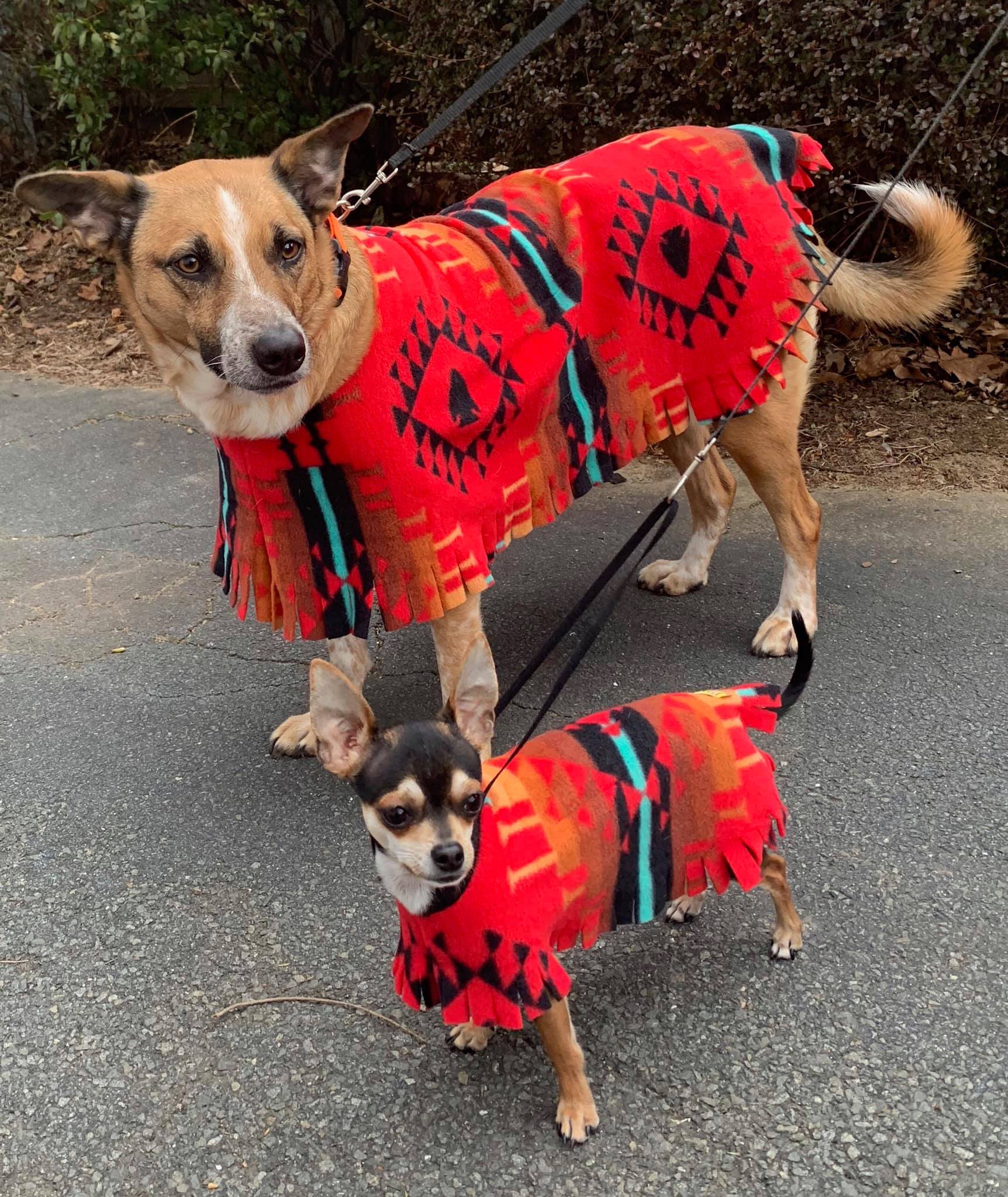 Poocho