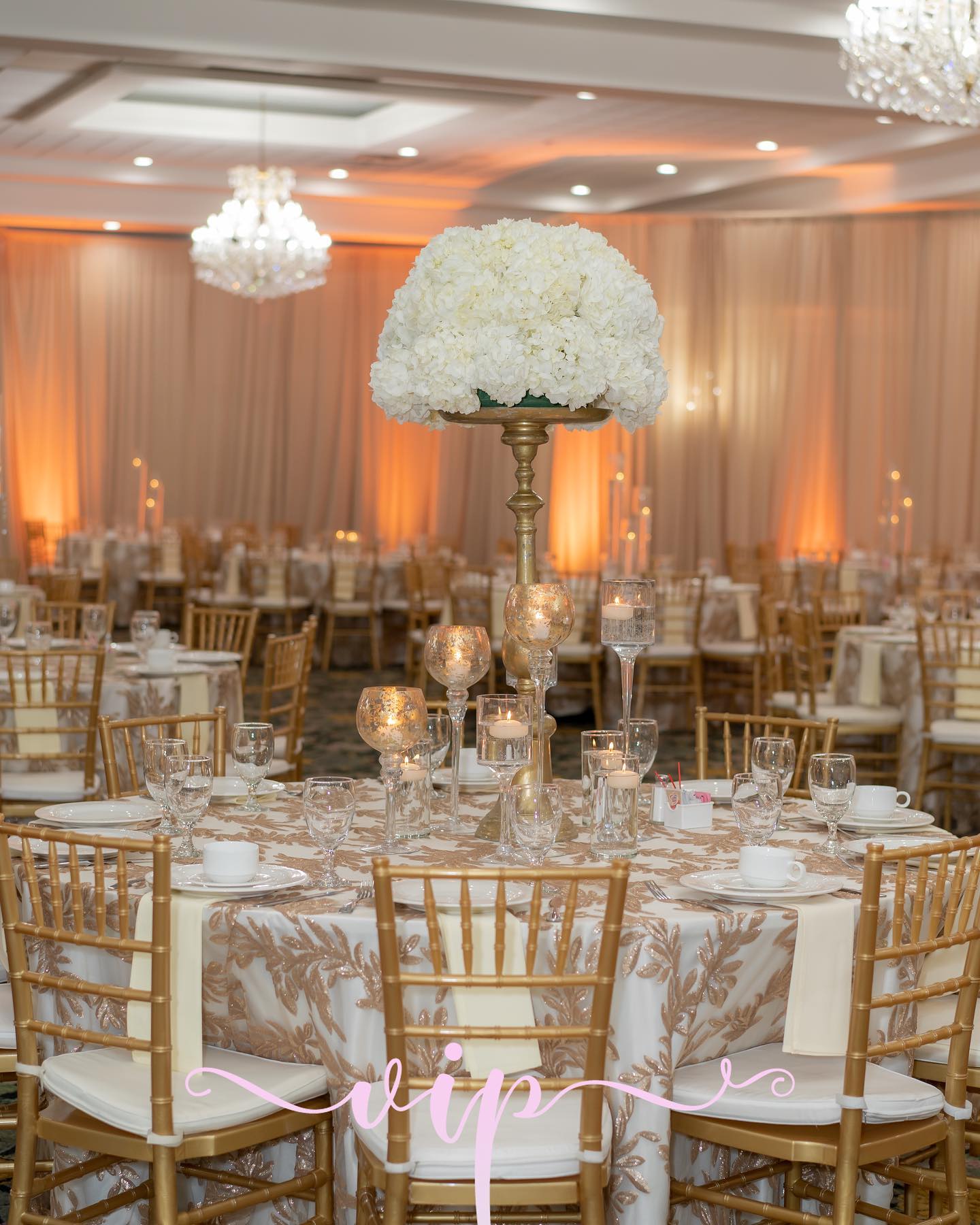 VIP Event Rentals added a new photo. - VIP Event Rentals