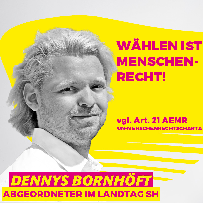 Dennys Bornhöft - Das Wahlrecht ist eines unserer höchsten... | Facebook