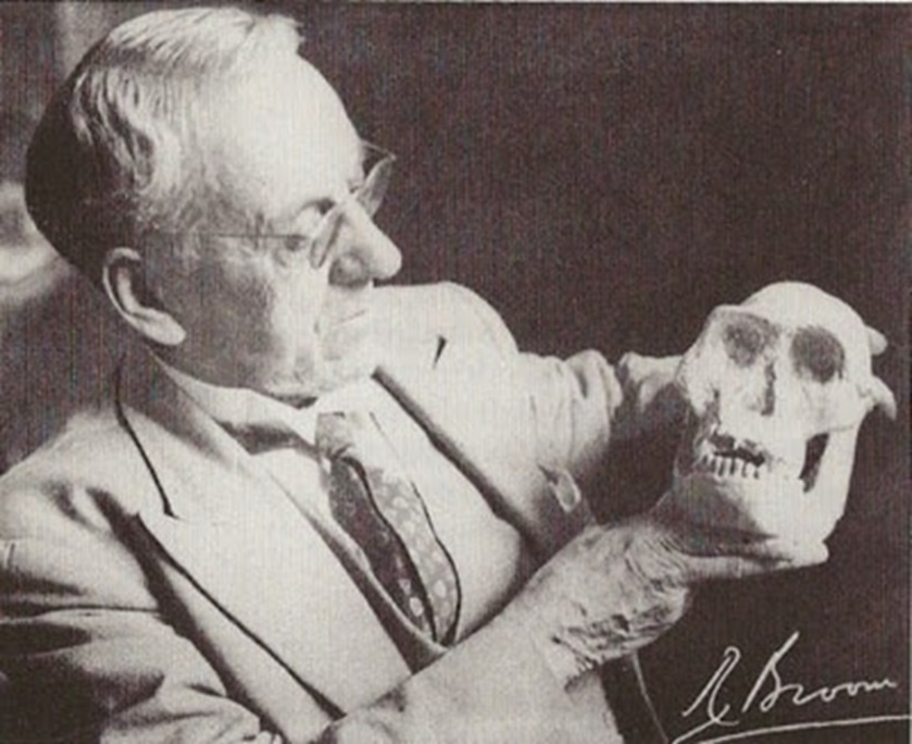 Robert Broom Portrait
