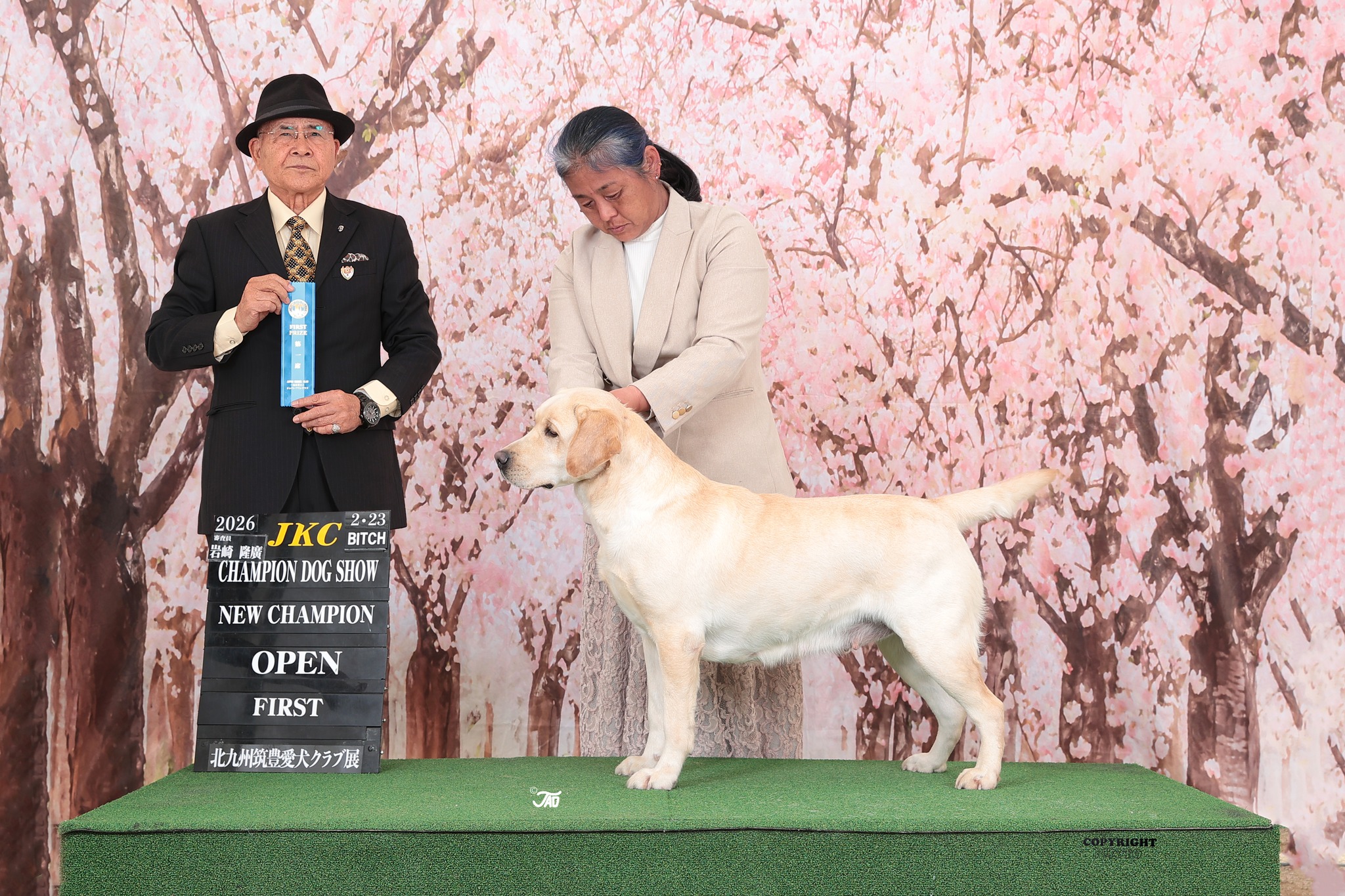 Ayumi Yoshioka様ハンドラー FRY 2026 段峰 JKC JKCBC 2.23 BTCH 带崎 