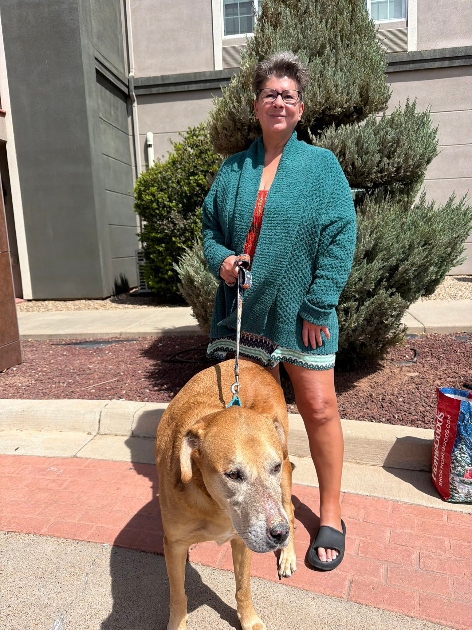 Rascal adopted by new momma through A&F