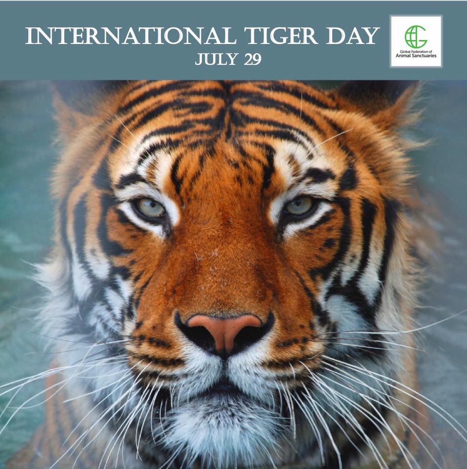 Global Federation of Animal Sanctuaries (GFAS)