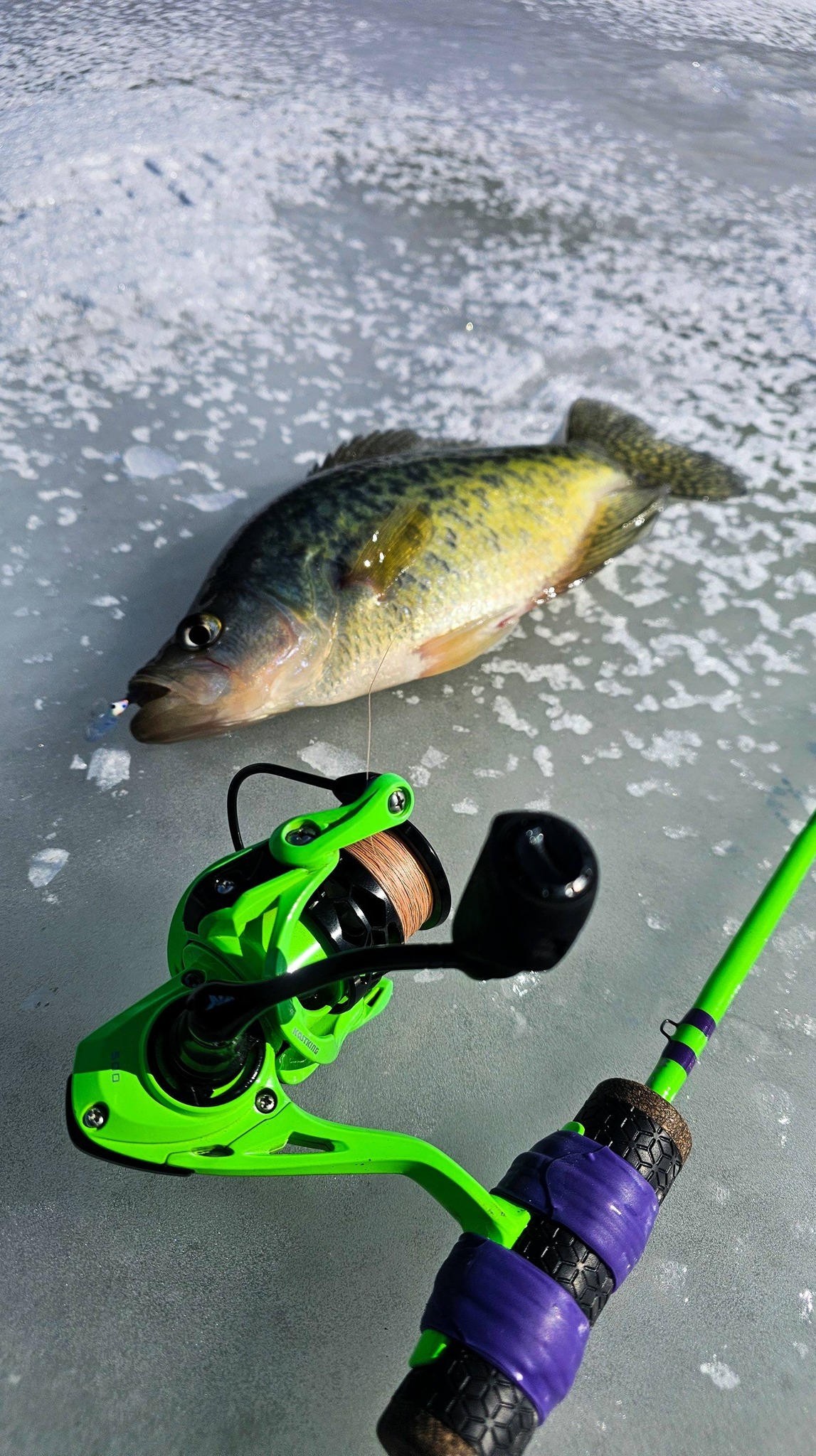 best spinning combo for panfish Shakespeare 6' Light Wild Series crafted in collaboration with Strike King Bait Best Ice Fishing Rod