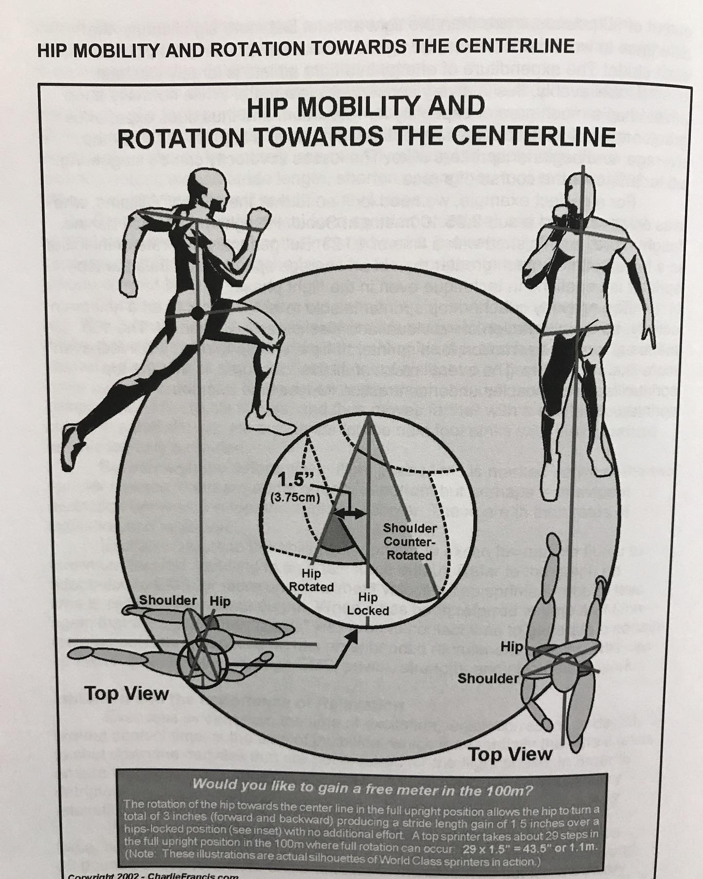 Zach - The spinal engine is the basis of all human movement. Rotation ...