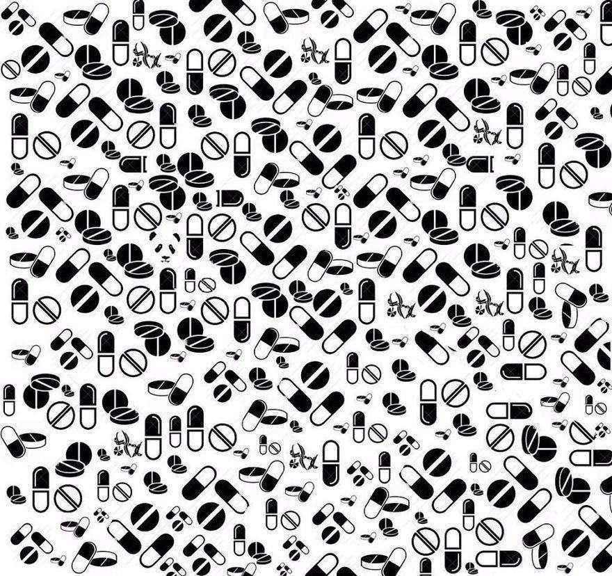 Did you seen the Panda? 🐼 If yes then comment 👉🏼🐼