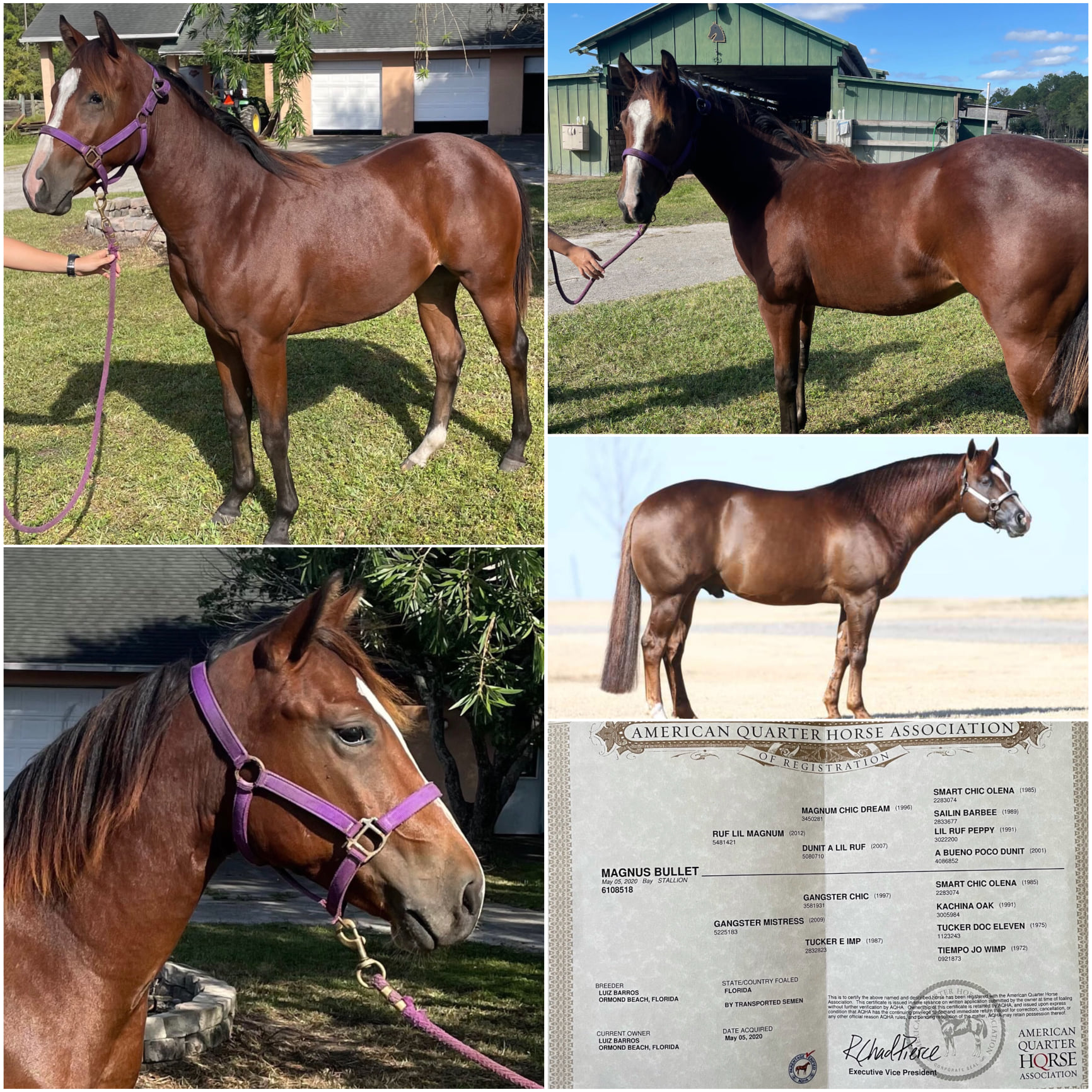 Barros Ranch