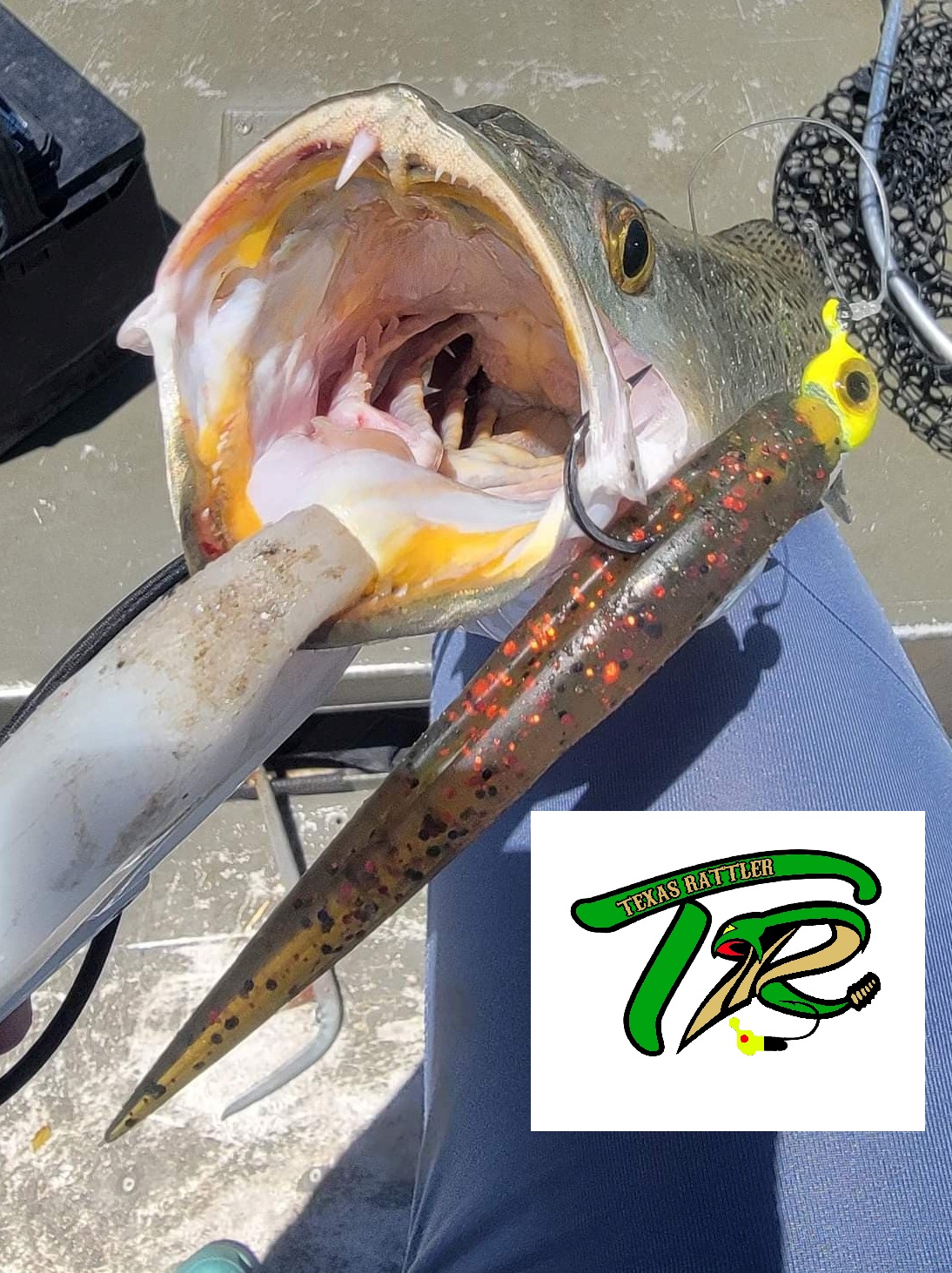 corpus christi fishing lures Vintage Nichols Lure Company Amber Shrimp Texas Lure Does Lure Color REALLY Matter