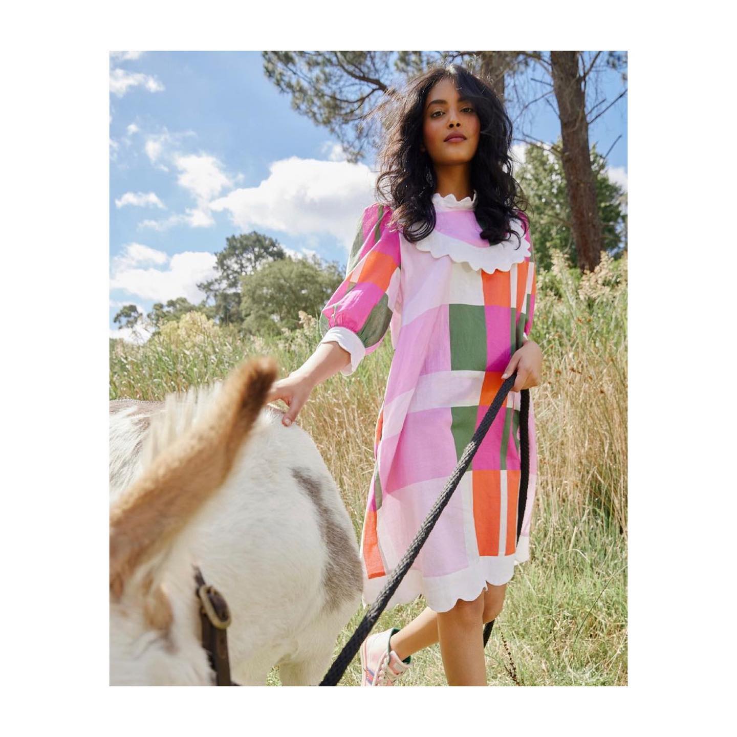 lady whistledown dresses The gorgeous dress by Binny contemporary shopping