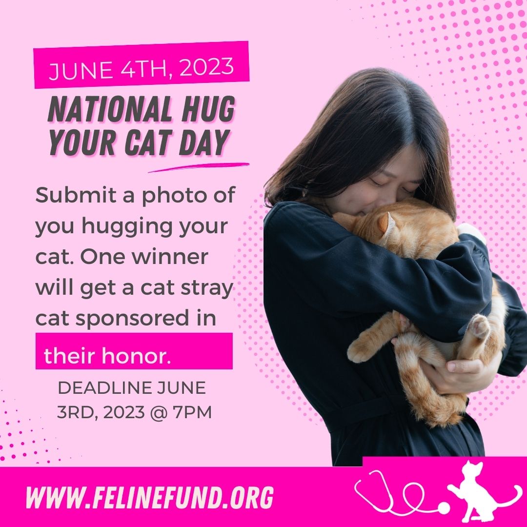 Feline Fund - Did you know that Saturday is National Hug... | Facebook