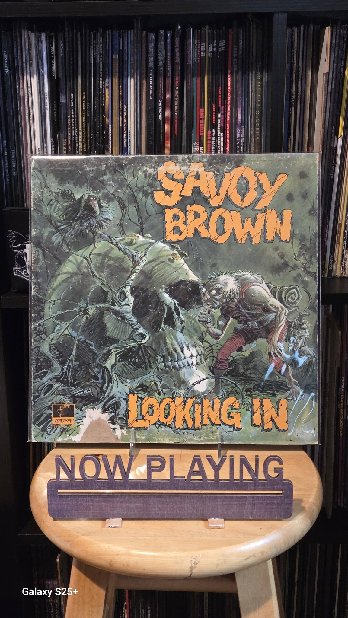 Savoy Brown's Looking In LP review