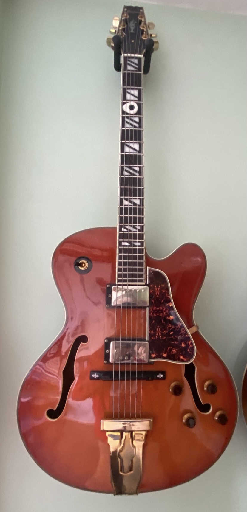Aria Elecord - Folk Electric FE-70 Sounds great plugged in or