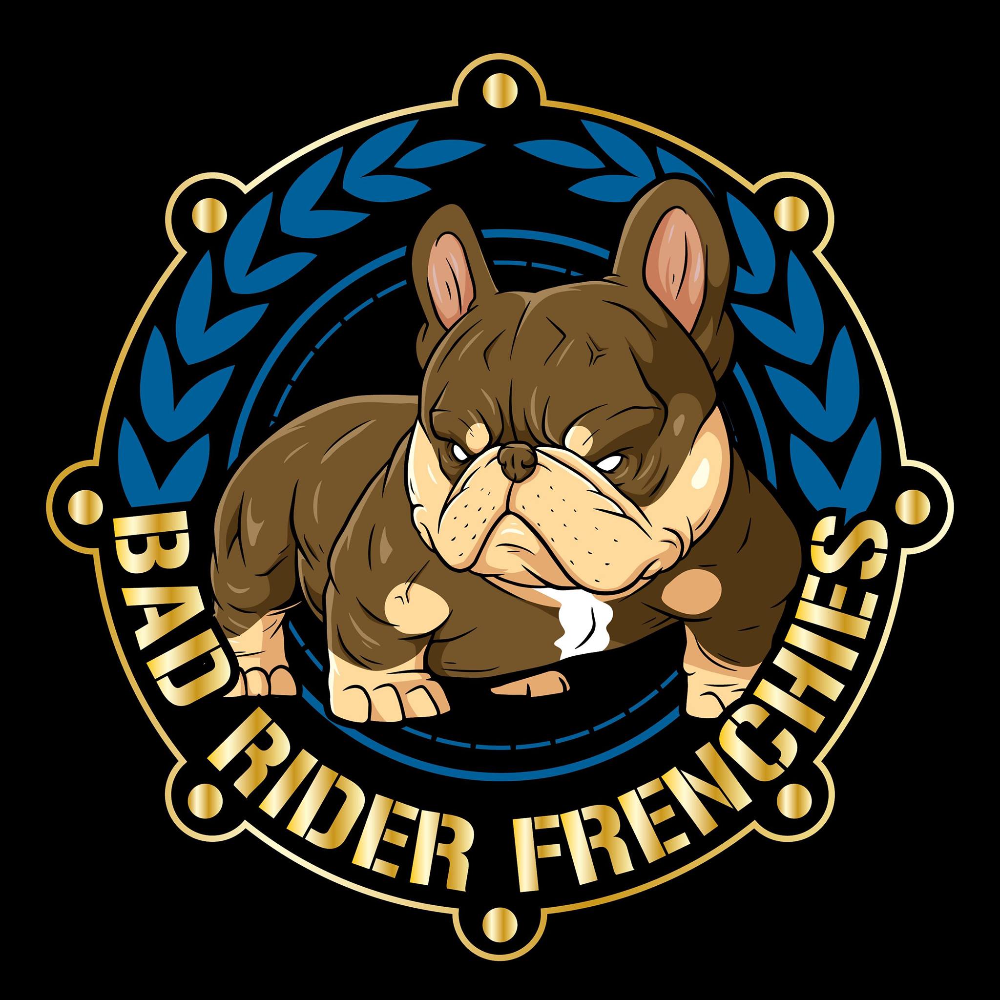 Bad Rider Bullies