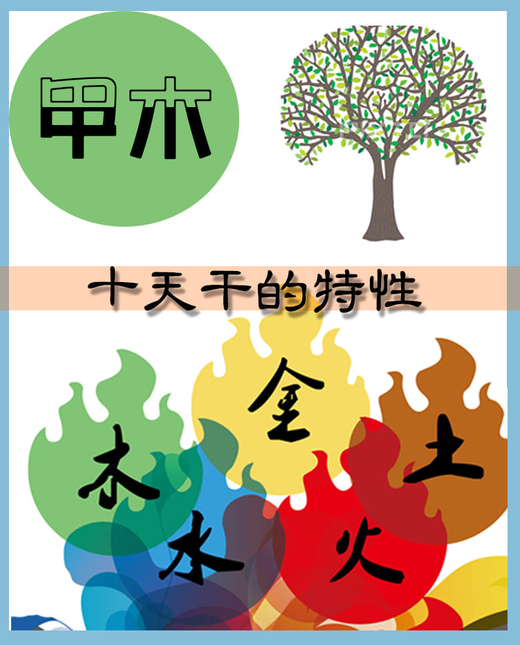 世和堂命理工作室 - #淺談五行 甲木 甲木，在五行中稱其為樹木的代表， 屬陽，十天干排首。 #八字命理...