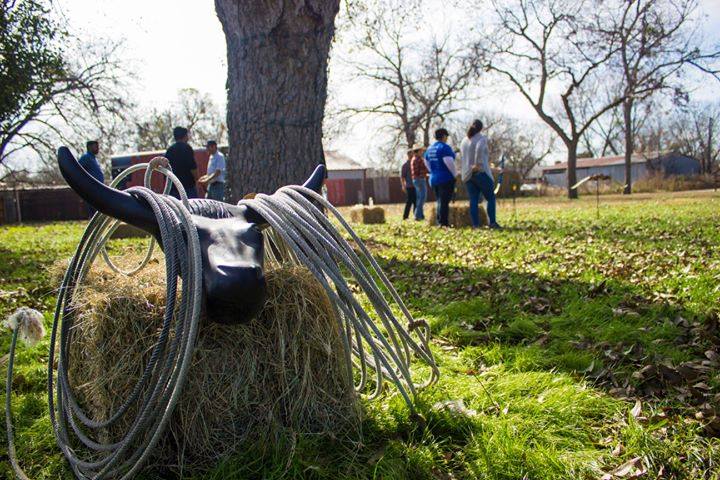 Lone Star Ranch & Rodeo | Austin TX
