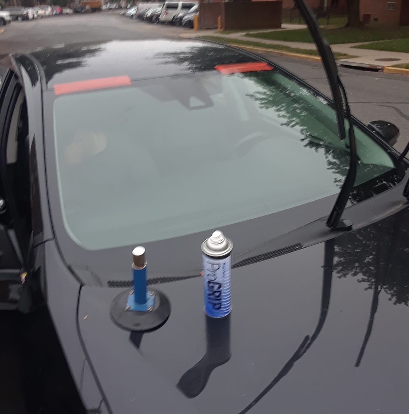 Alex auto glass