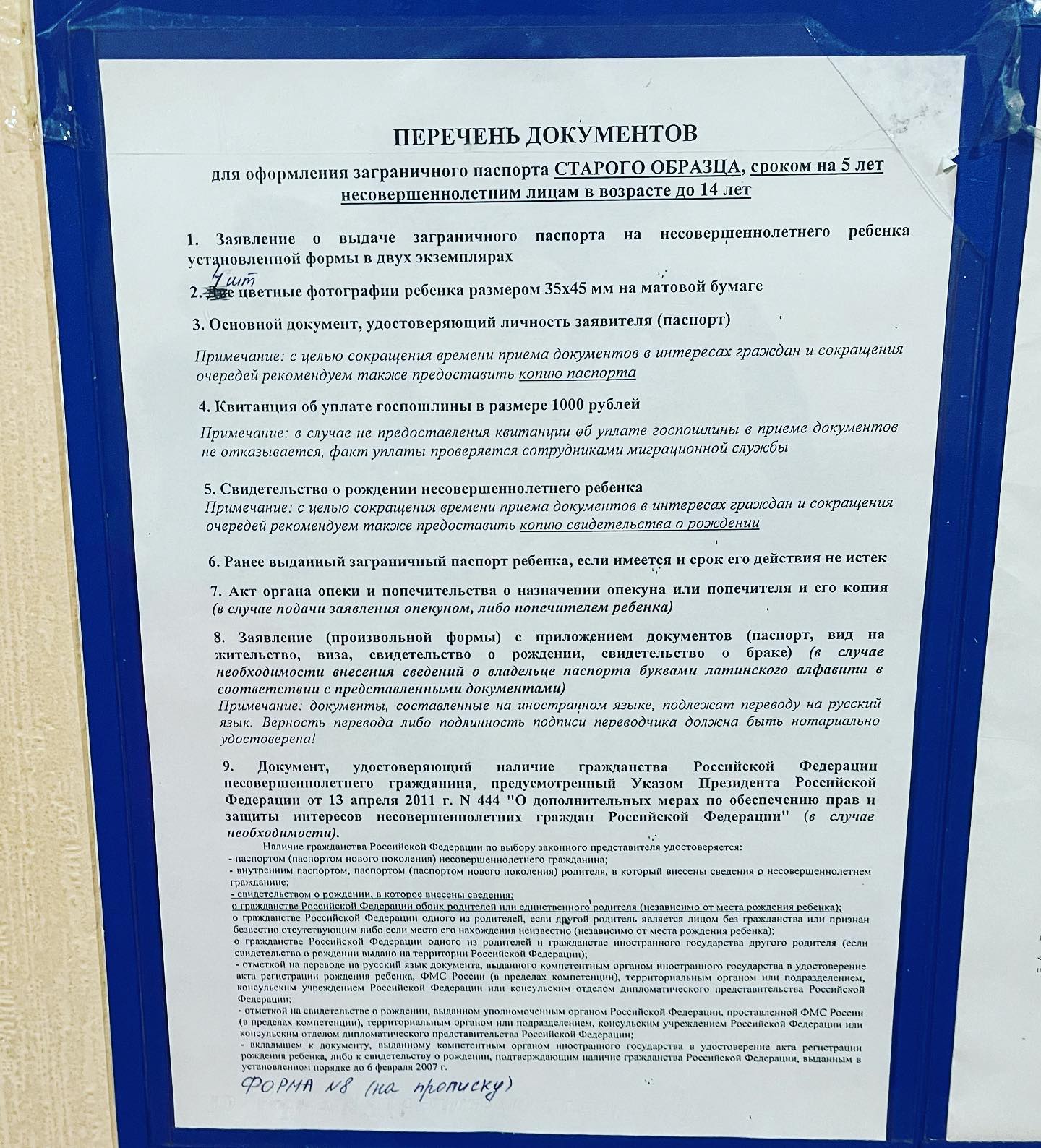 Альбина Ибрагимова