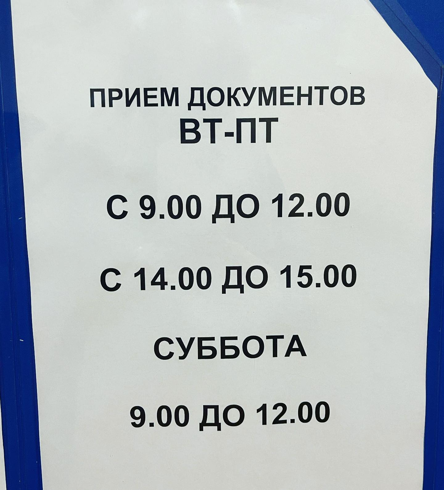 Альбина Ибрагимова