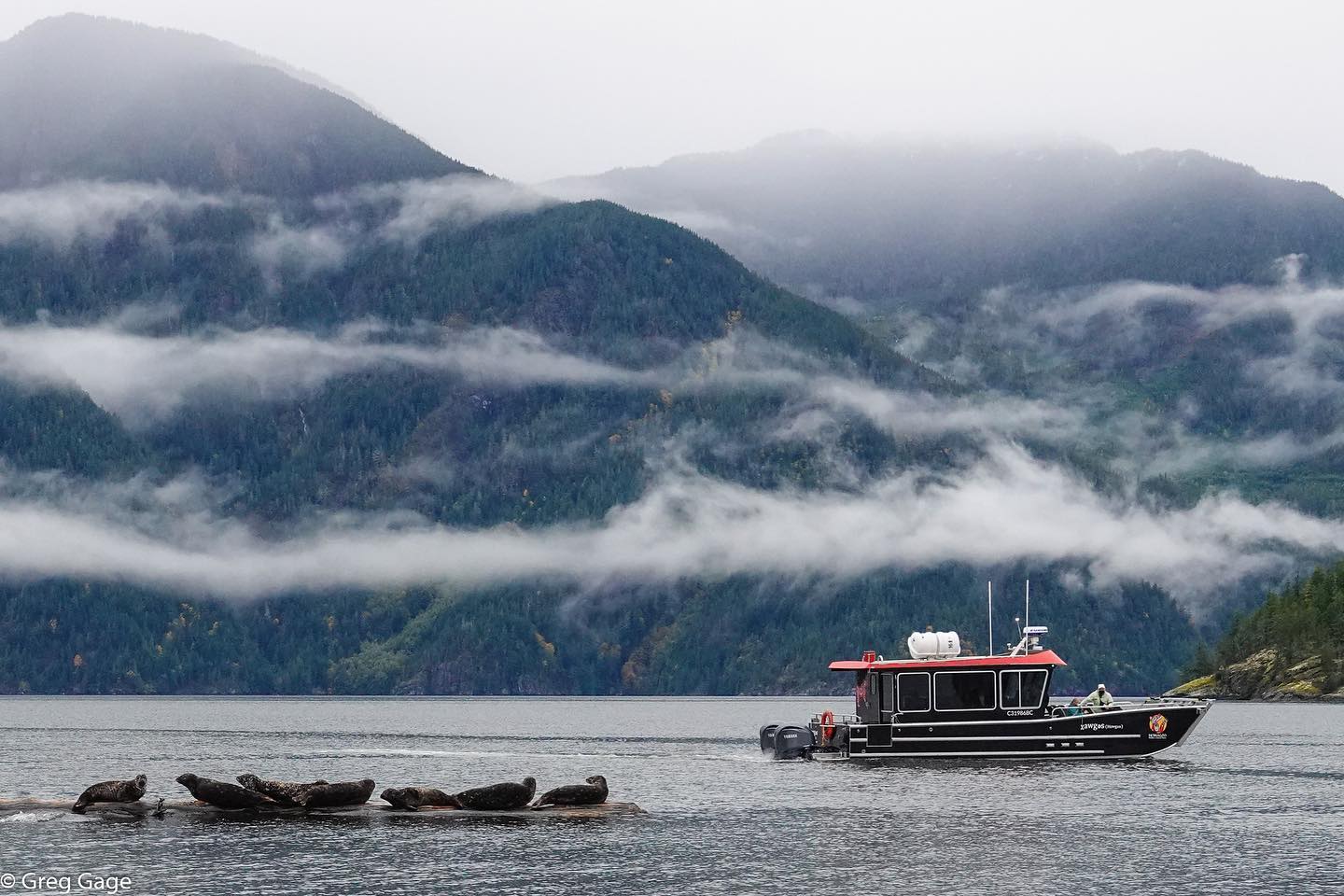 Beautiful British Columbia 🍂 📸 @gpgage... - Bute Inlet Lodge