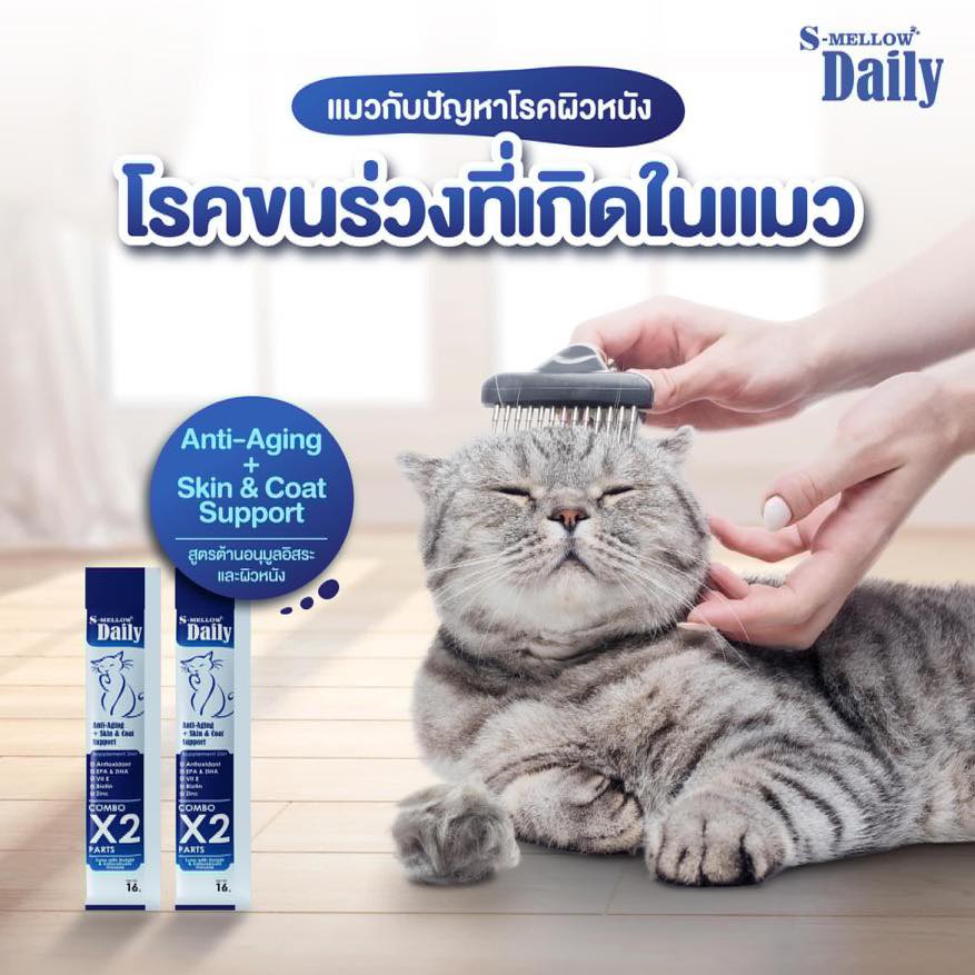 #วิ... - Chaisiri Pet Mall Udonthani ชัยศิริเพ็ทมอลล์ อุดรธานี