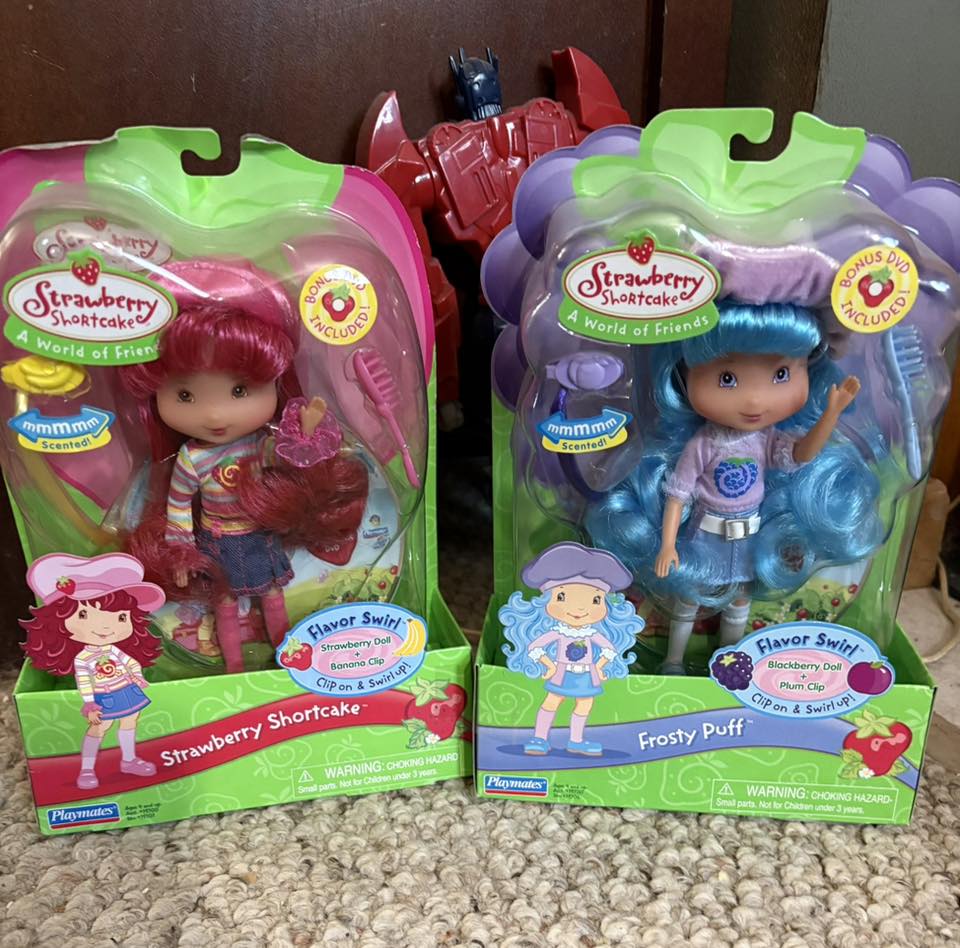 Some of my collection from 2006 لم Strauberry Shortcake World of