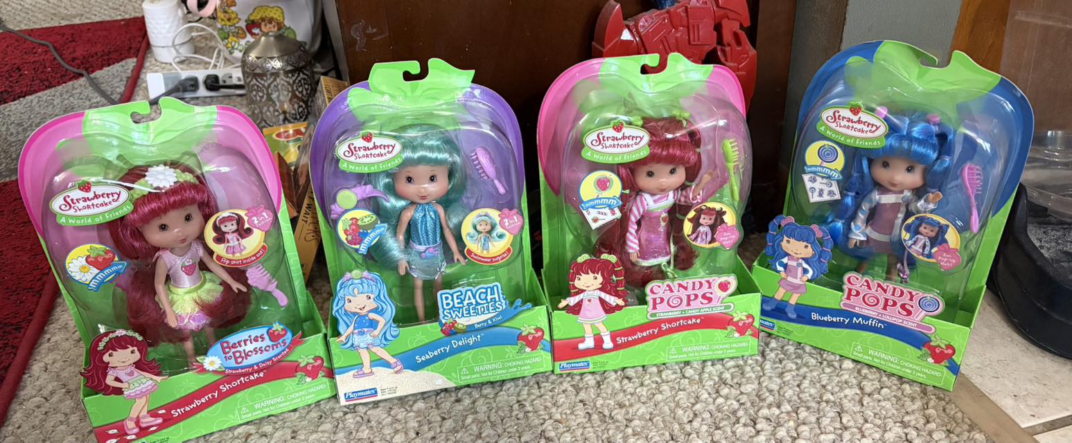 Some of my collection from 2006 لم Strauberry Shortcake World of