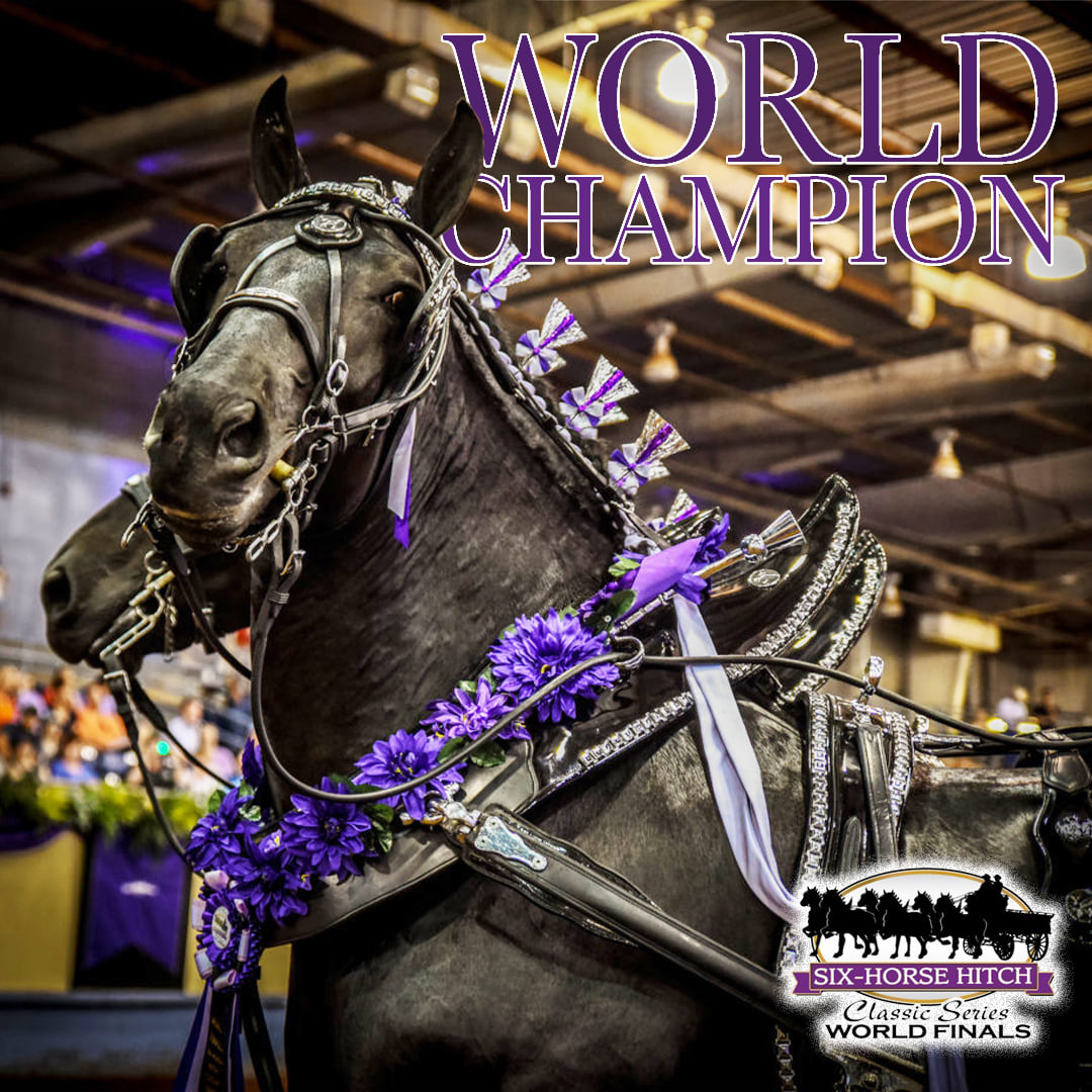 Congratulations... - Midwest Draft Horse Classic Show & Pull | Facebook