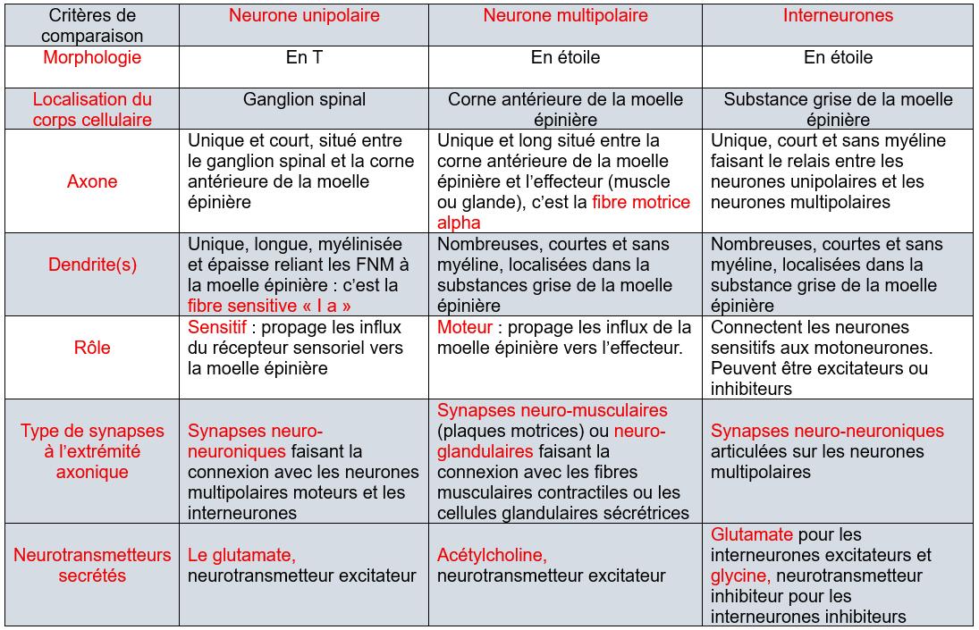 Karim Touaïti, la chaine SVT | Neurophysiologie : comparaison des ...