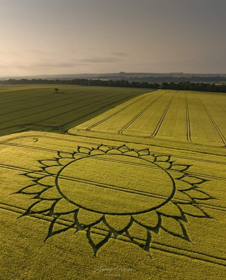 punto-ltima-hora-crop-circles-una-inmensa-y-sutil-figura