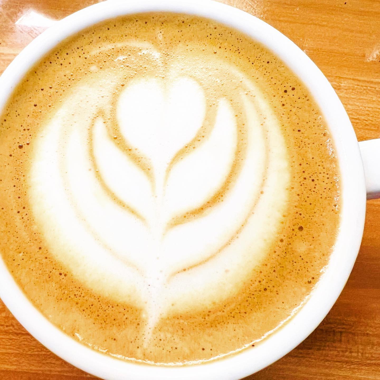 PILYA Coffee - We craft coffee made with the wisdom of a seasoned ...